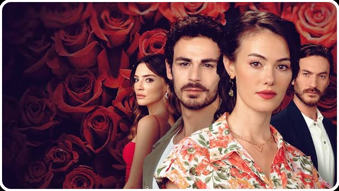 15 Most Romantic Turkish Series With English Subtitles 2022 - Watch On ...